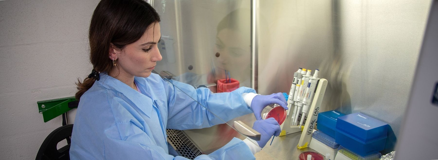 Medical student swabbing a petri dish inside the lab.